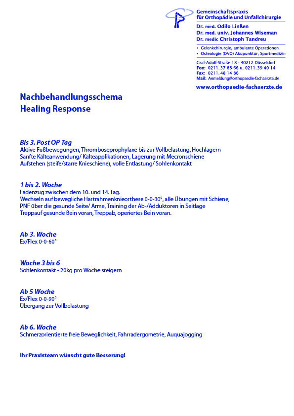 Bild-PDF-Rotatorenmanschetten