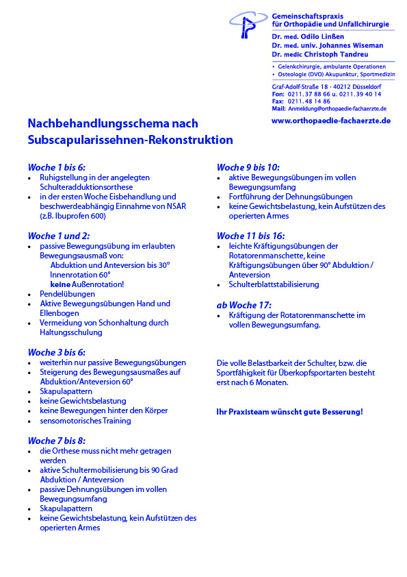 Bild-PDF-Rotatorenmanschetten